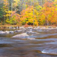 Whispering Creek Harmony: ASMR Delight in Nature's Embrace