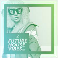 Future House Vibes, Vol. 13