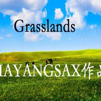 Grasslands