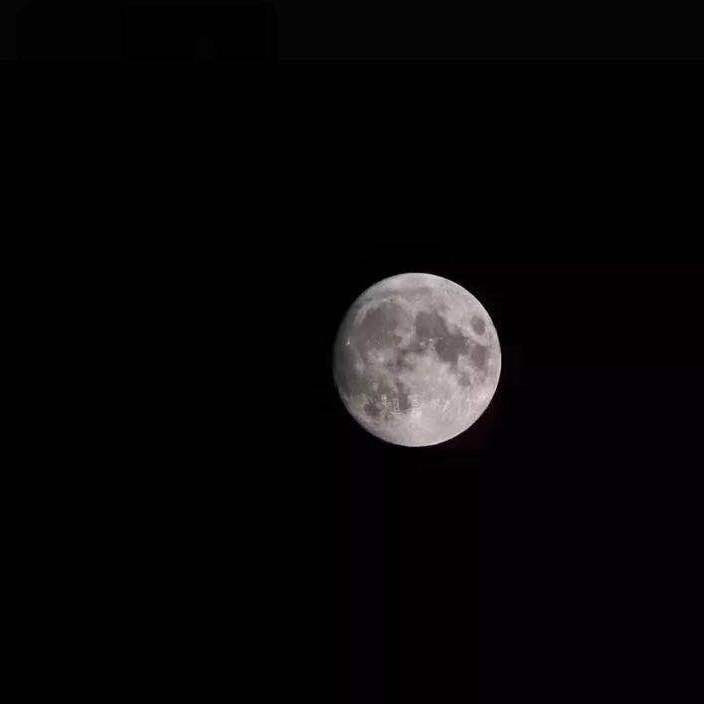 Ask for the moon封面