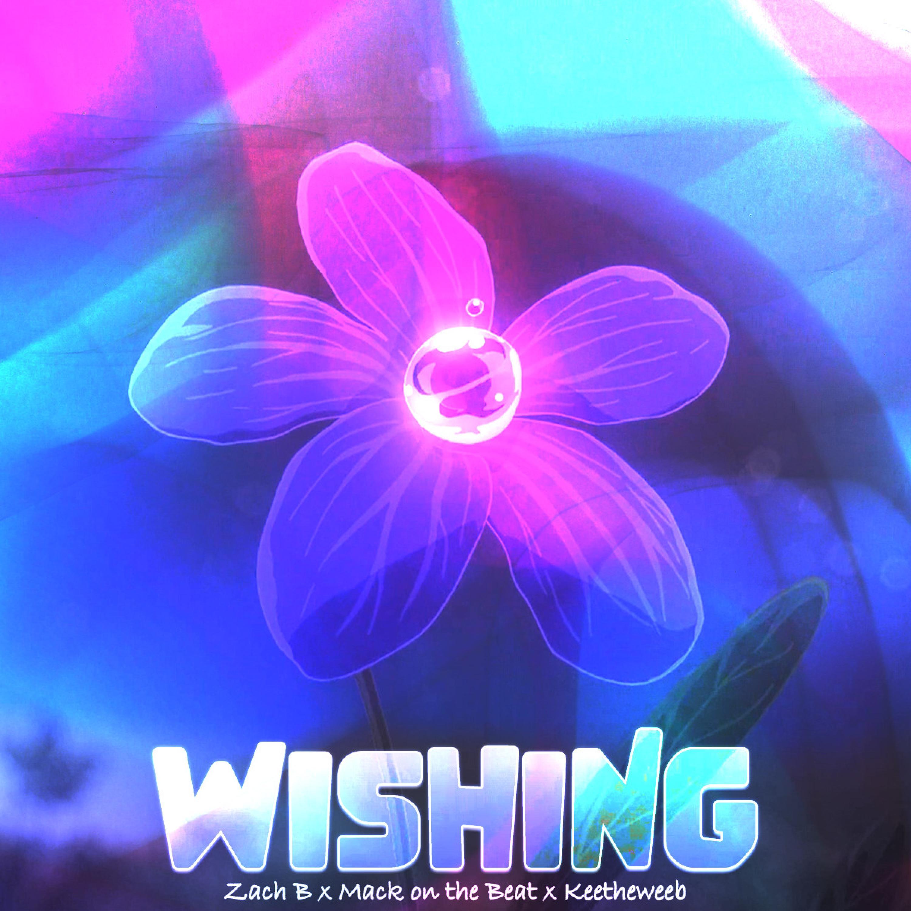 WISHING (feat. Keetheweeb)