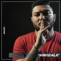 Amigdala