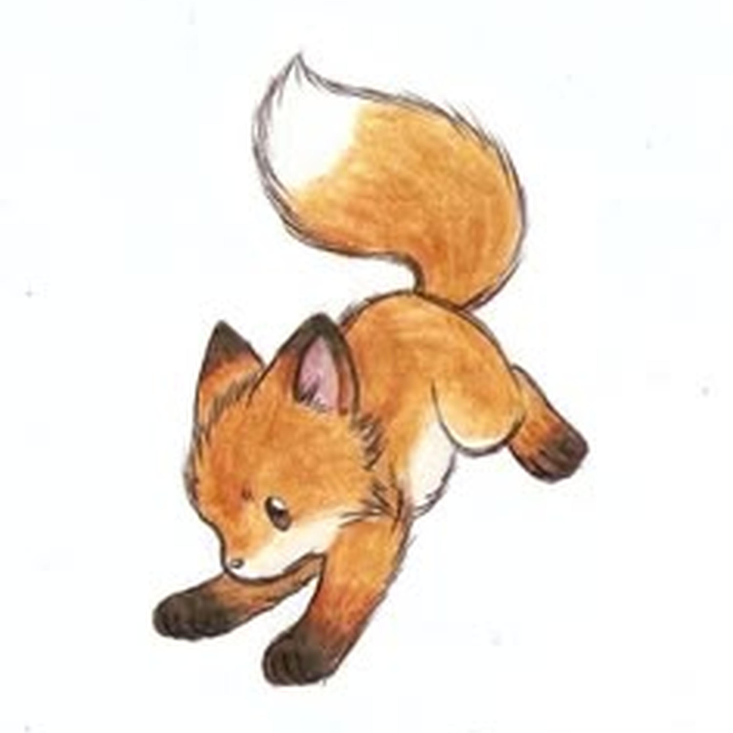 michino timothy kimino kimochi