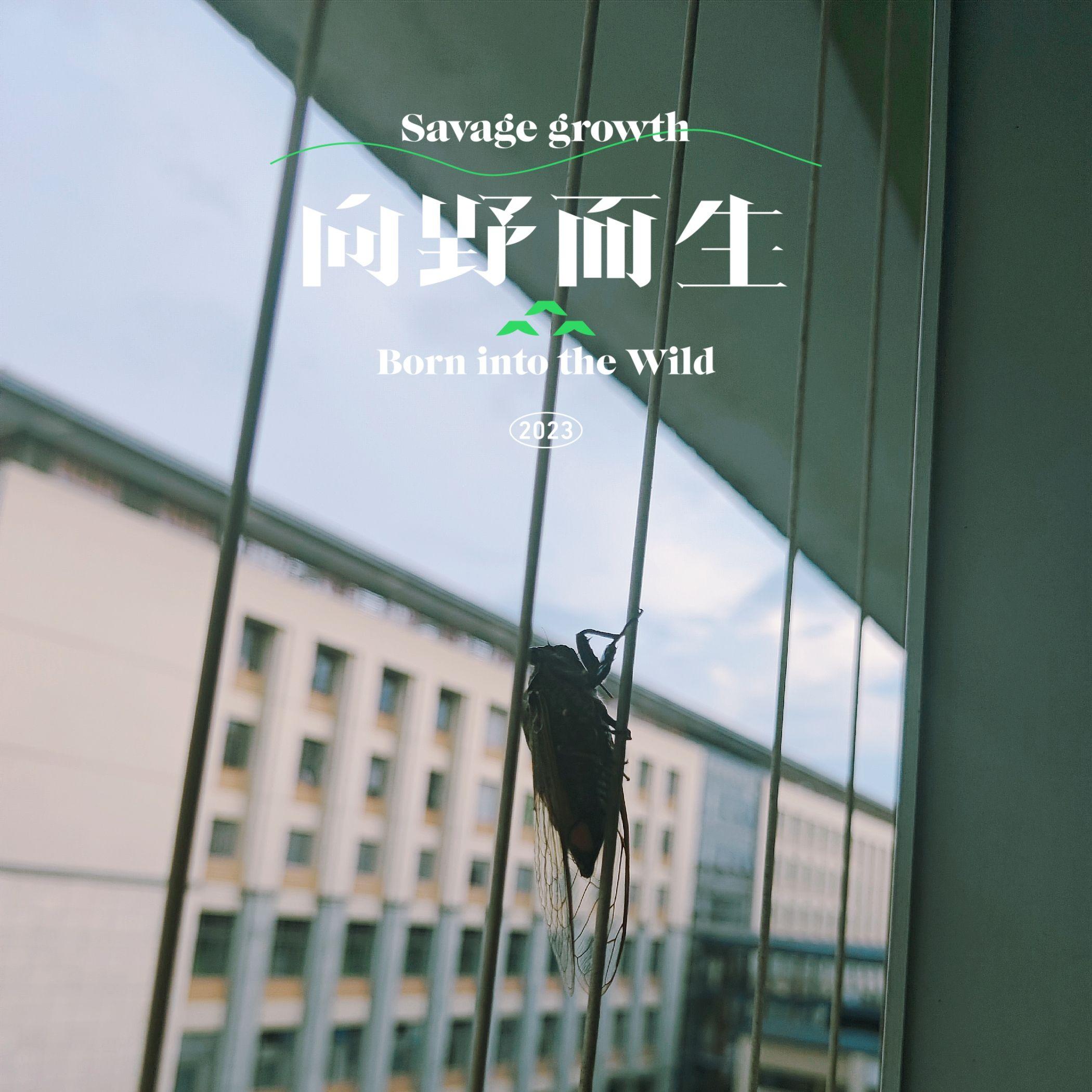 橙夏（prod.by Morrow）