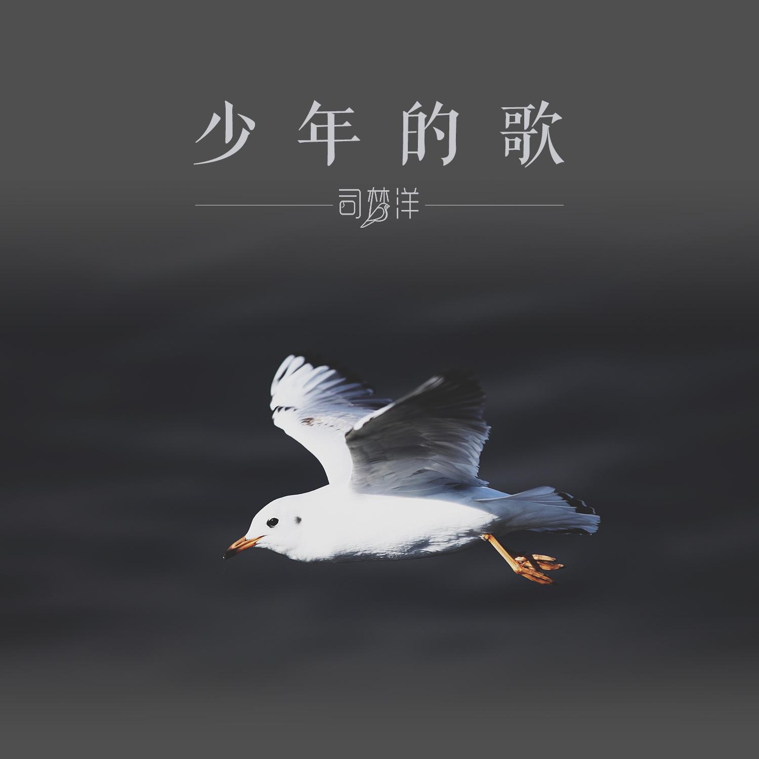 少年的歌_司梦洋_少年的歌 | 在线播放_少年的歌歌词_少年的歌下载 | 网易云音乐