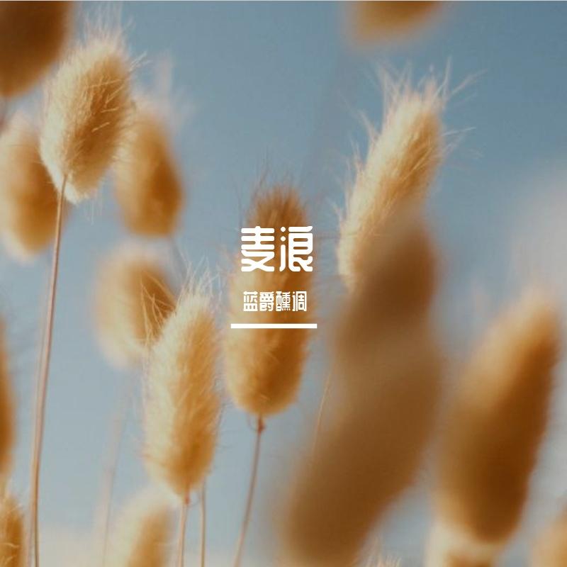 麦浪封面