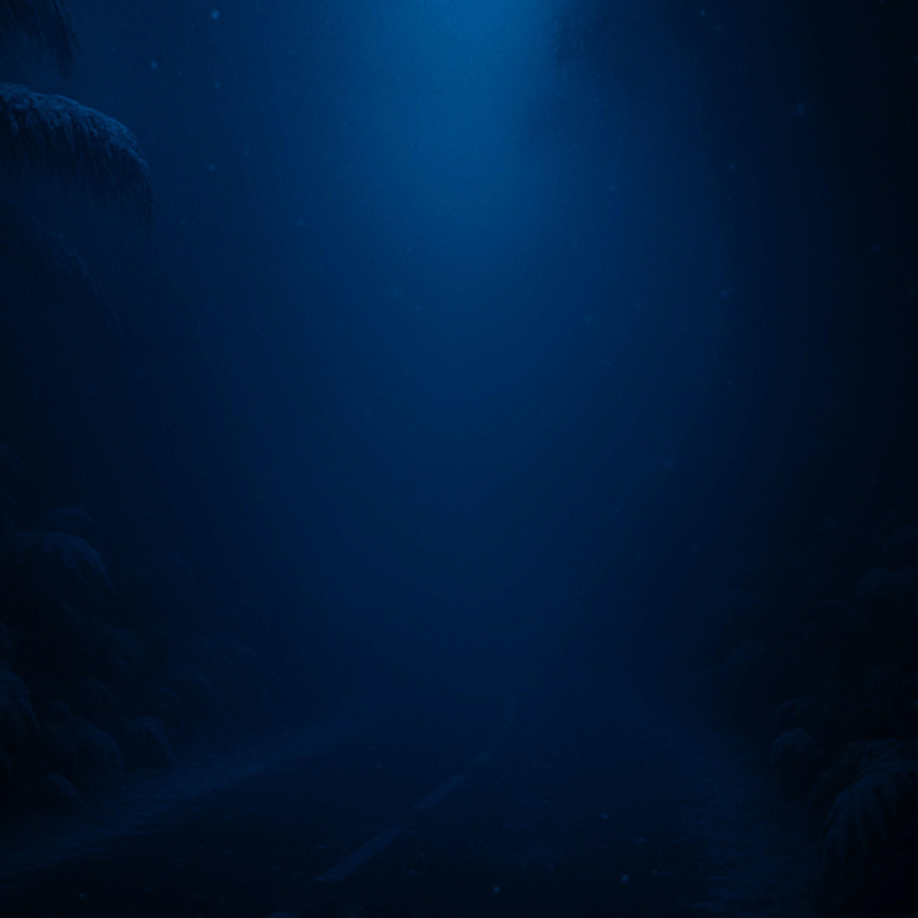 F A L L I N G M I S T