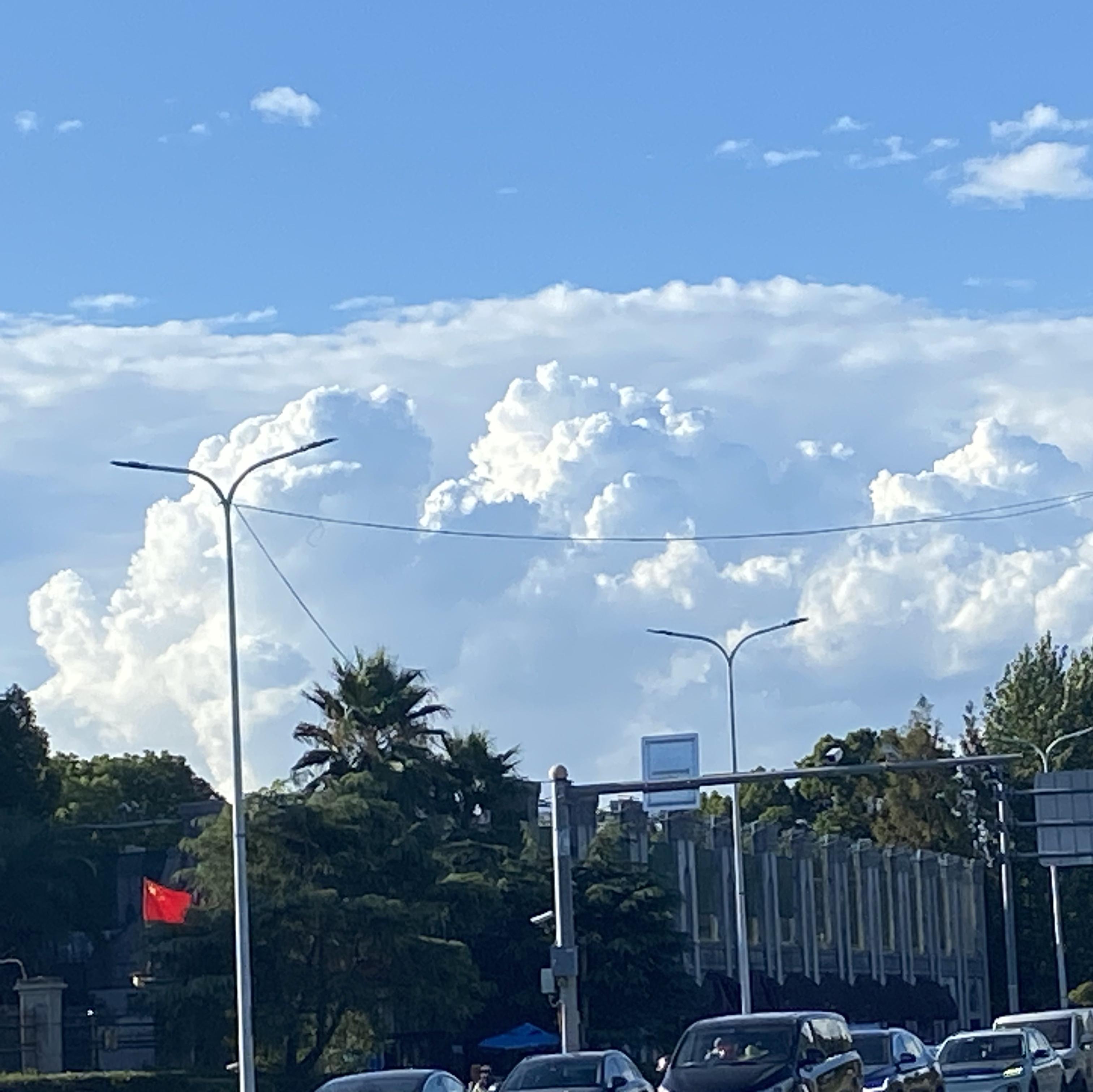 午后阳光旅行封面