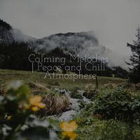 Calming Melodies | Peace and Chill Atmosphere