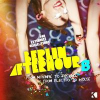 Berlin Afterhour, Vol. 8