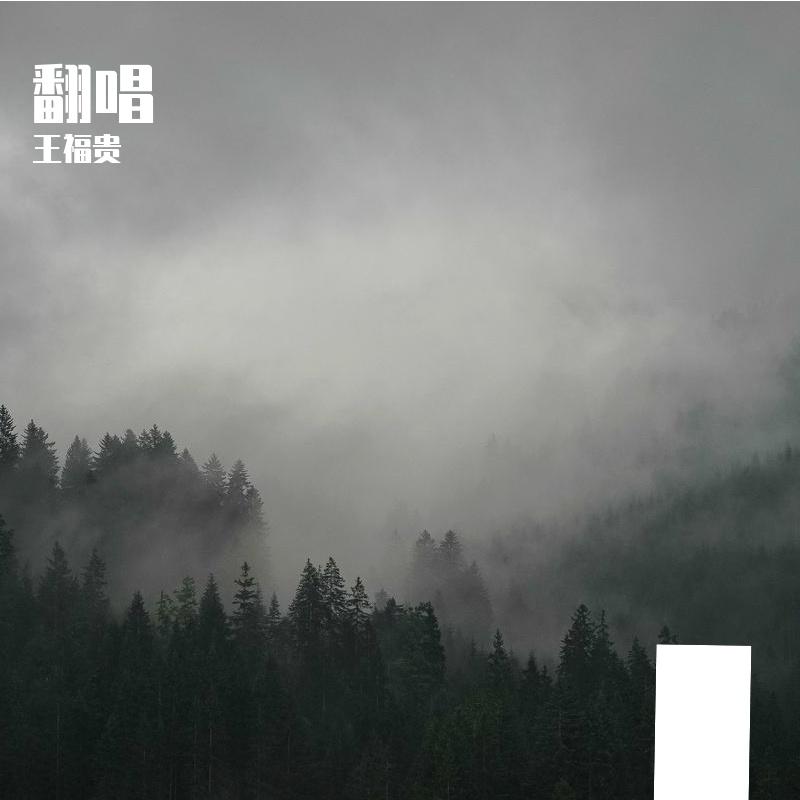 一把破吉他1999(cover 赵照)封面