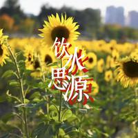 饮水思源