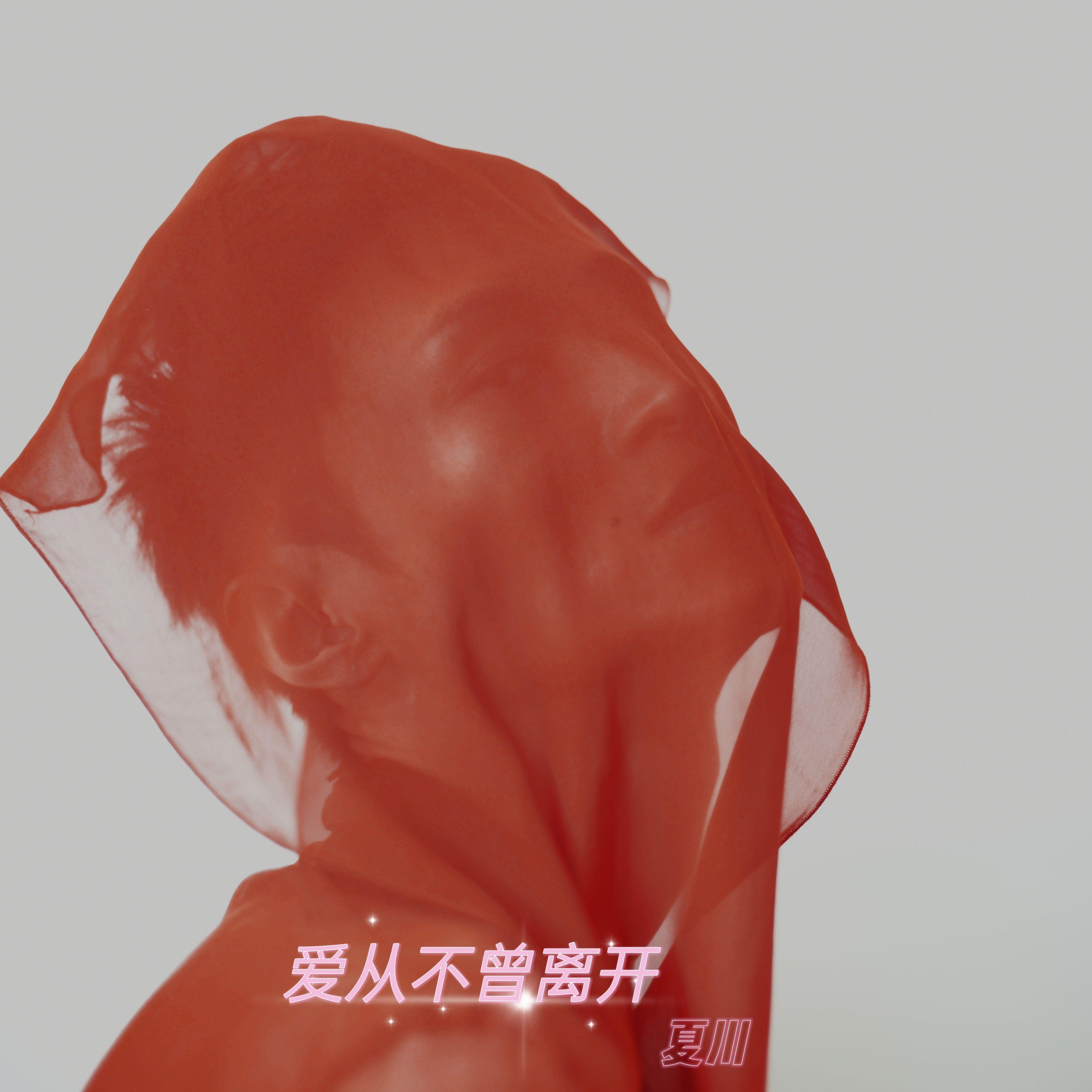 开花的星星封面