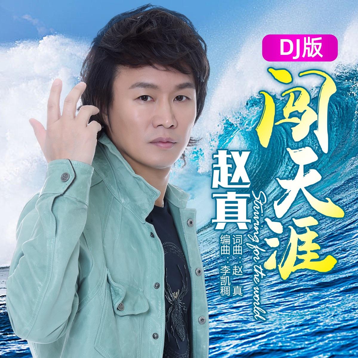 闯天涯(赵真激情版) - 赵真封面