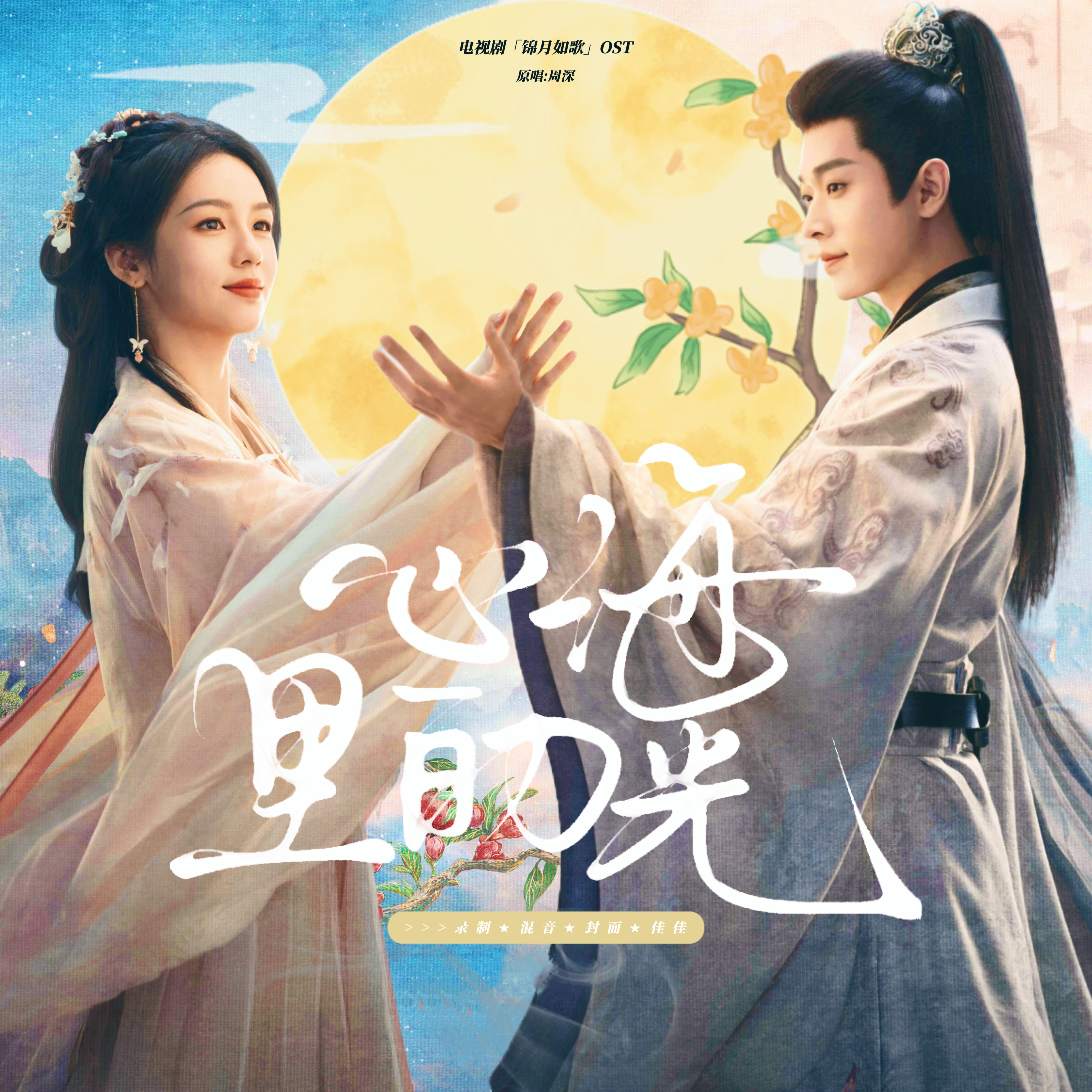 心海里的光封面