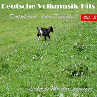 Deutsche Volksmusik Hits - Deutschland, deine Dialekte! Lieder in Mundart gesungen, Vol. 3