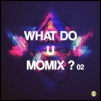 What Do U Momix ?, Vol. 2