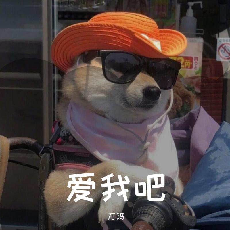 爱我吧(Remix)封面