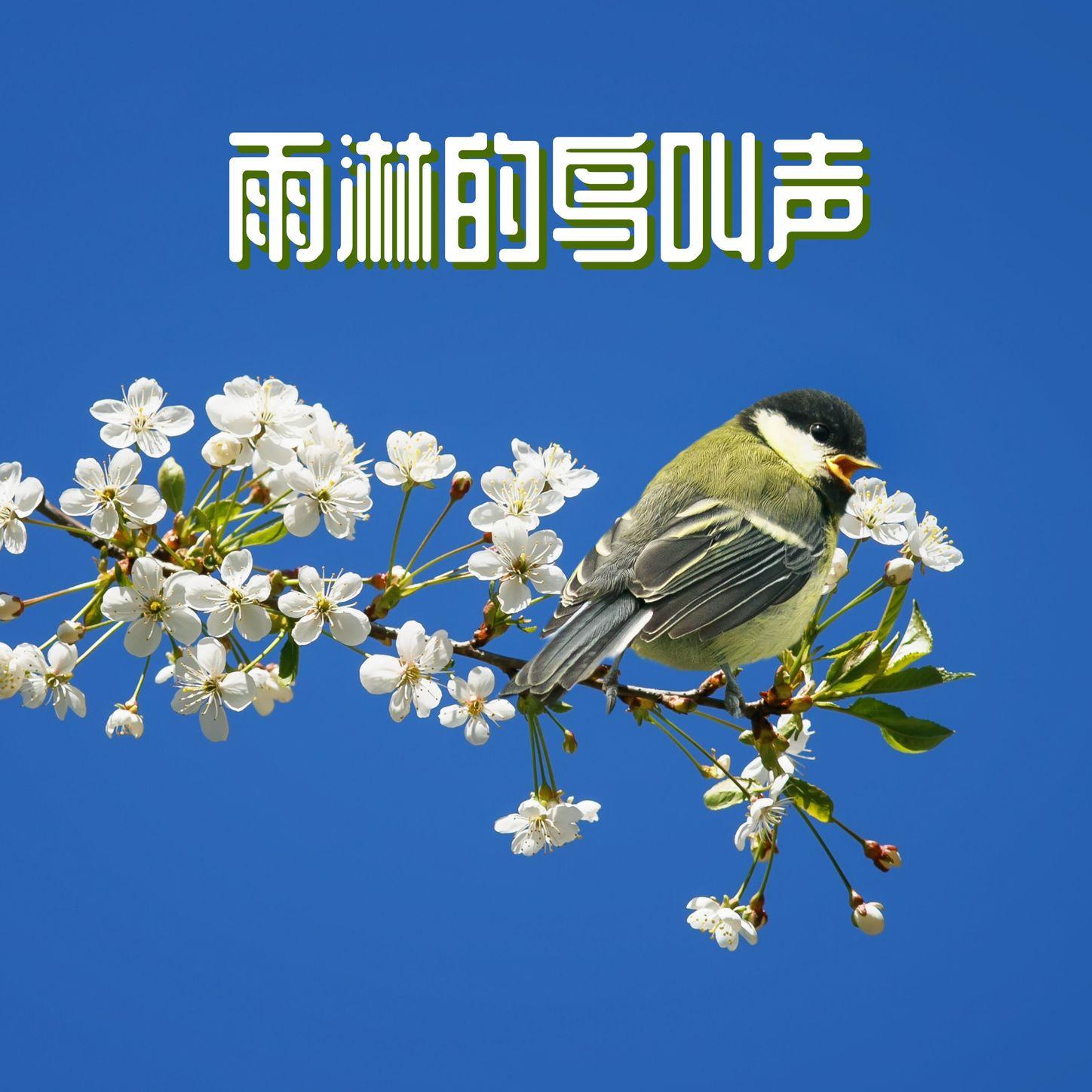 春天封面