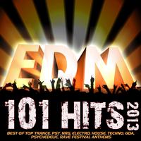 101 EDM Hits 2013 - Best of Top Trance, Psy, NRG, Electro, House, Techno, Goa, Psychedelic, Rave Festival Anthems