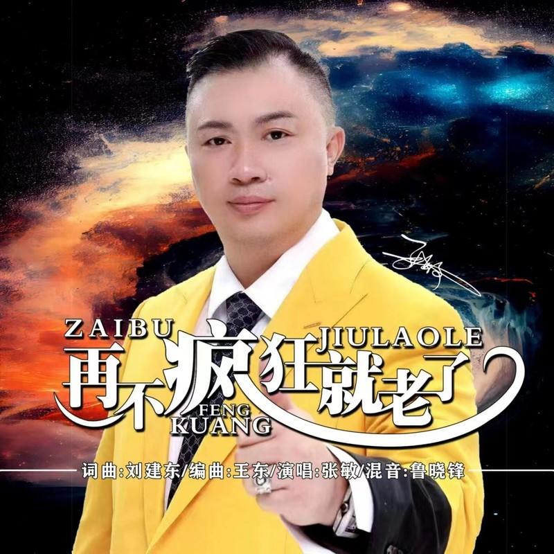 再不疯狂就老了 (合唱版)封面