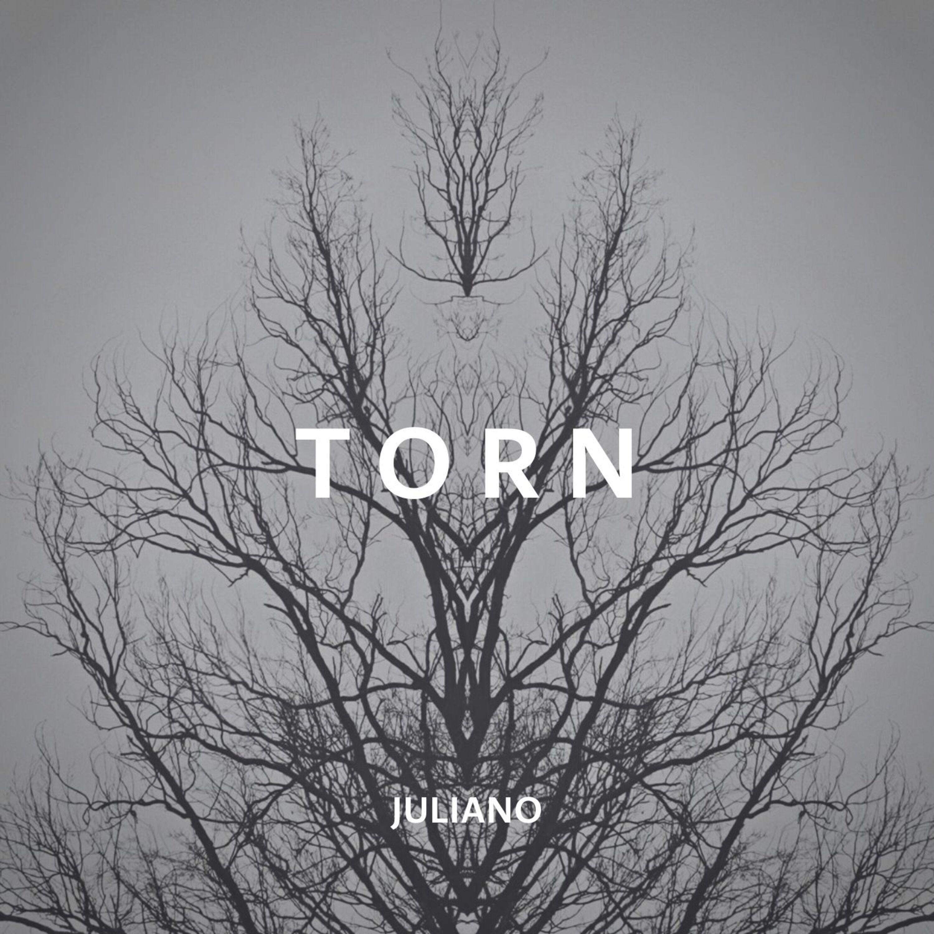 Torn