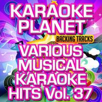 Various Musical Karaoke Hits, Vol. 37