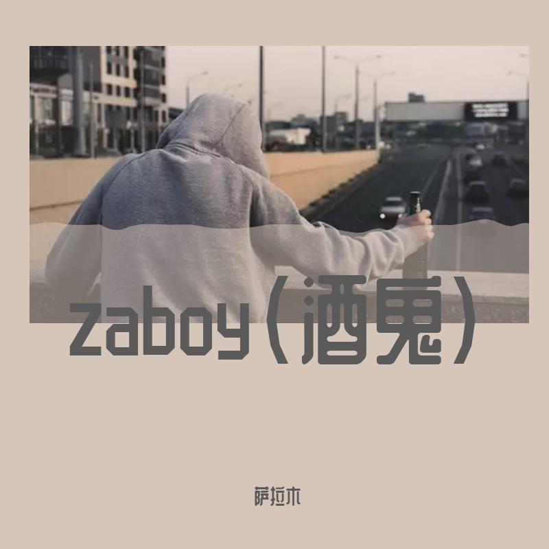 zaboy封面