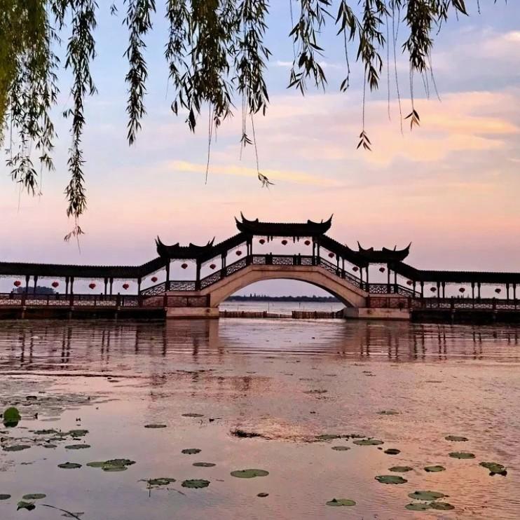 安河桥封面