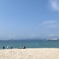 北极甜蛙