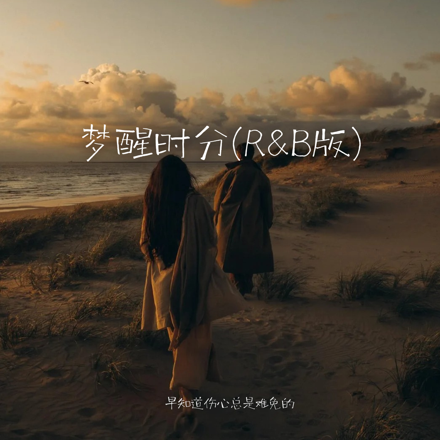梦醒时分(R&B版)封面