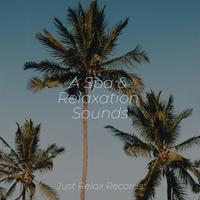 A Spa & Relaxation Sounds