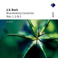 Bach, JS : Brandenburg Concertos Nos 1, 2 & 5 - Apex