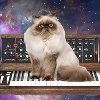 Red Cat Blue