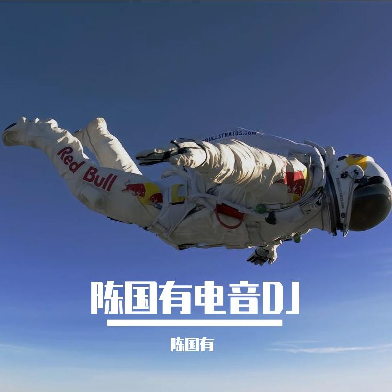 比亚迪宋PLUS-dmi进行曲