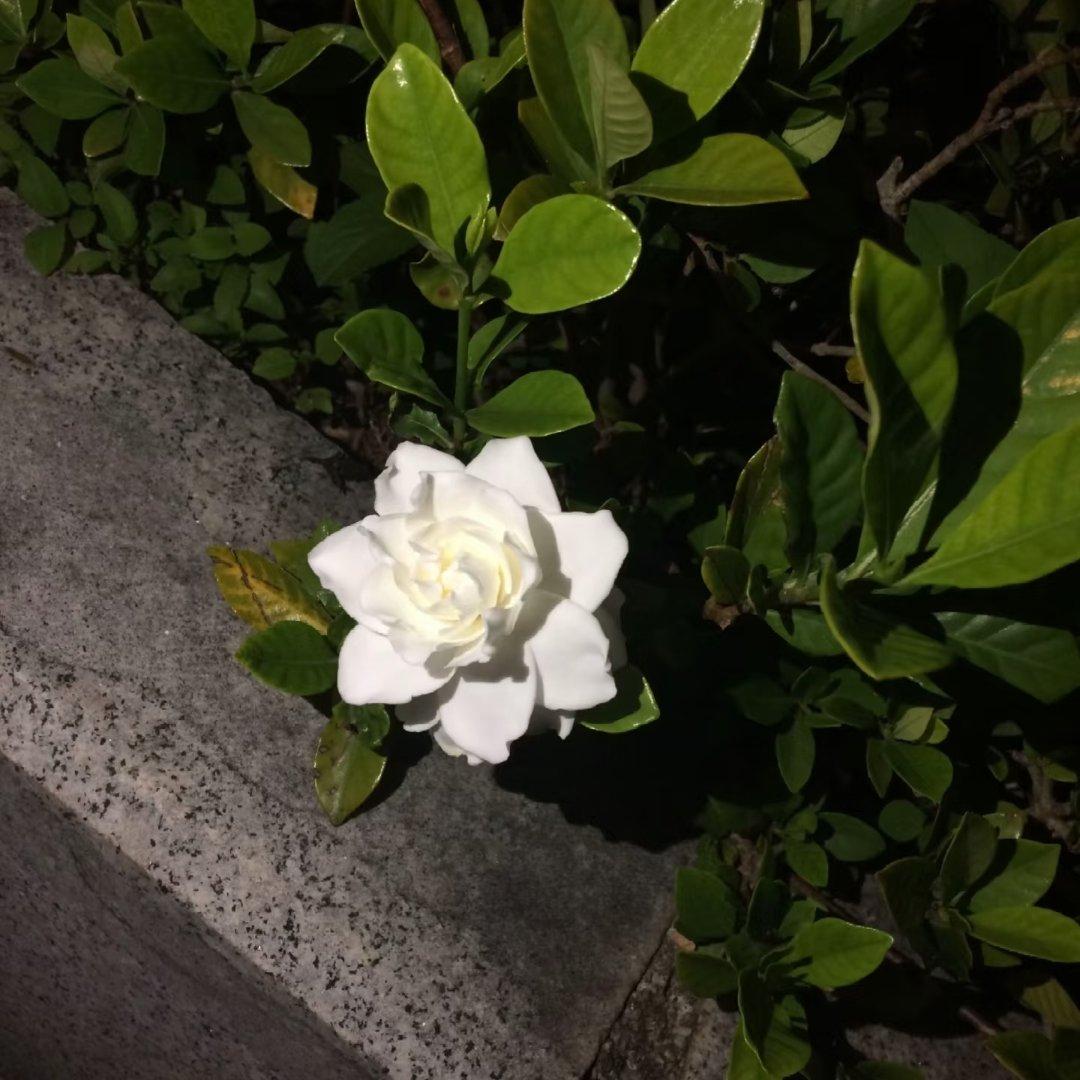 望穿秋悲封面
