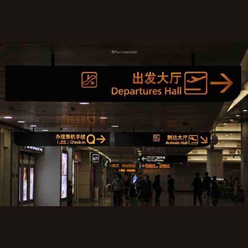 飞走了(cover金海心）