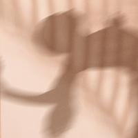 Rodrigo Castillo Filomarino资料,Rodrigo Castillo Filomarino最新歌曲,Rodrigo Castillo FilomarinoMV视频,Rodrigo Castillo Filomarino音乐专辑,Rodrigo Castillo Filomarino好听的歌