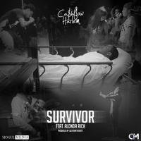 Survivor