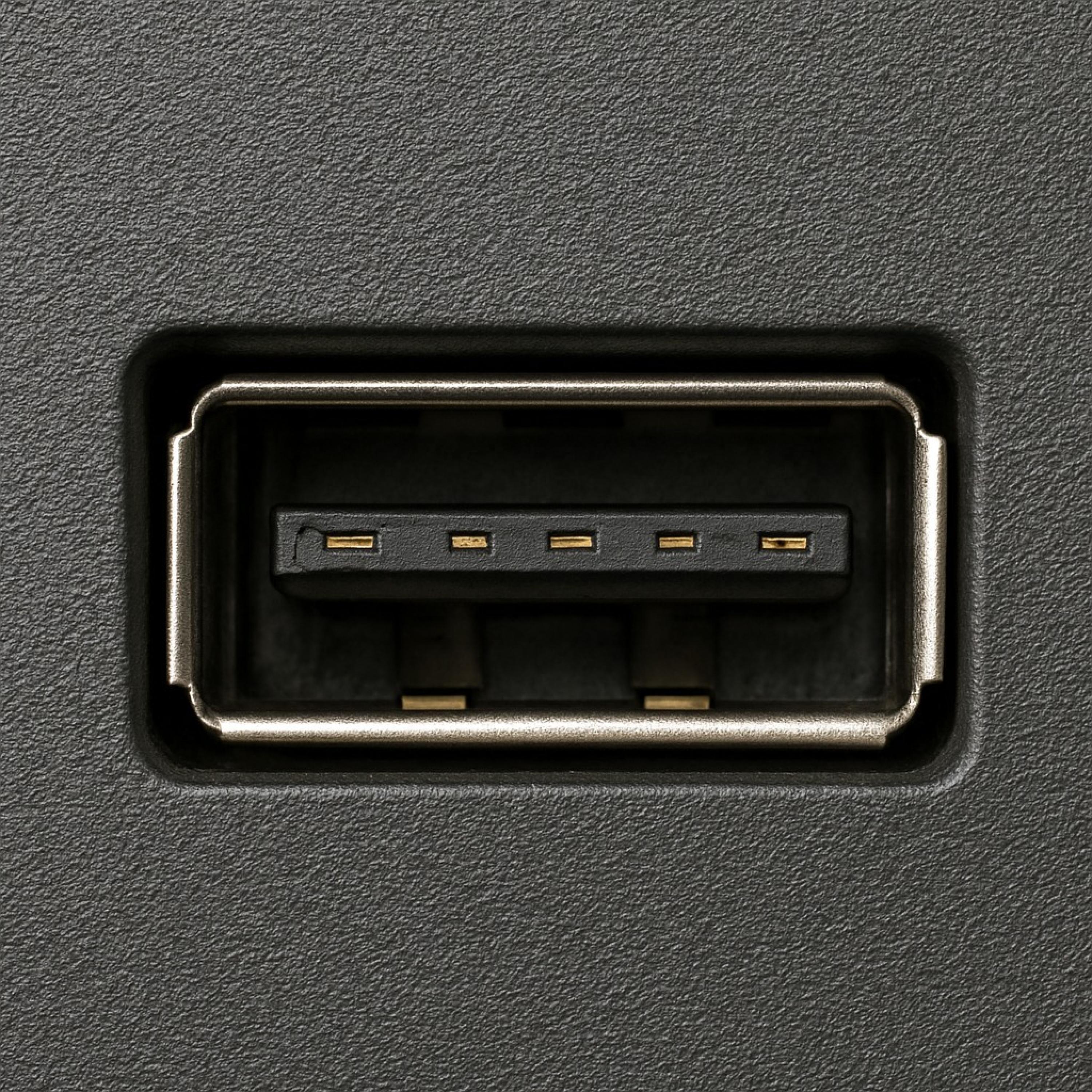 Plug Me In