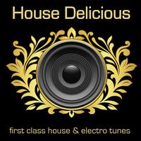 House Delicious 1 (First Class House & Electro Tunes)
