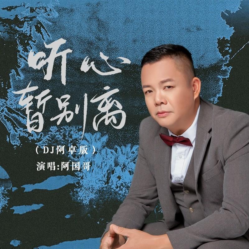 听心暂别离(DJ版)封面