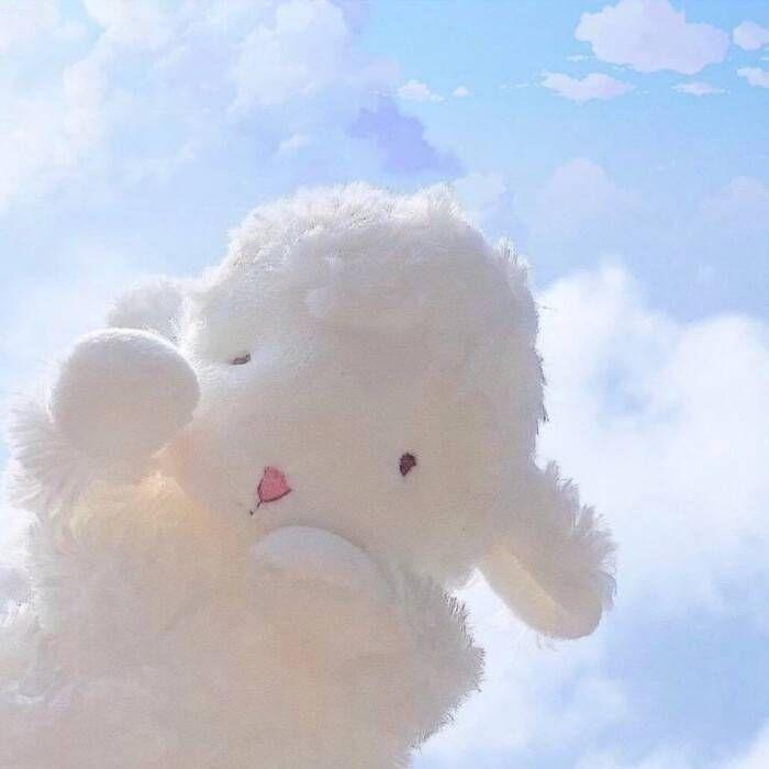 远在天边封面