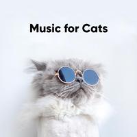 Music for Cats: Delicate Compositions for Felines