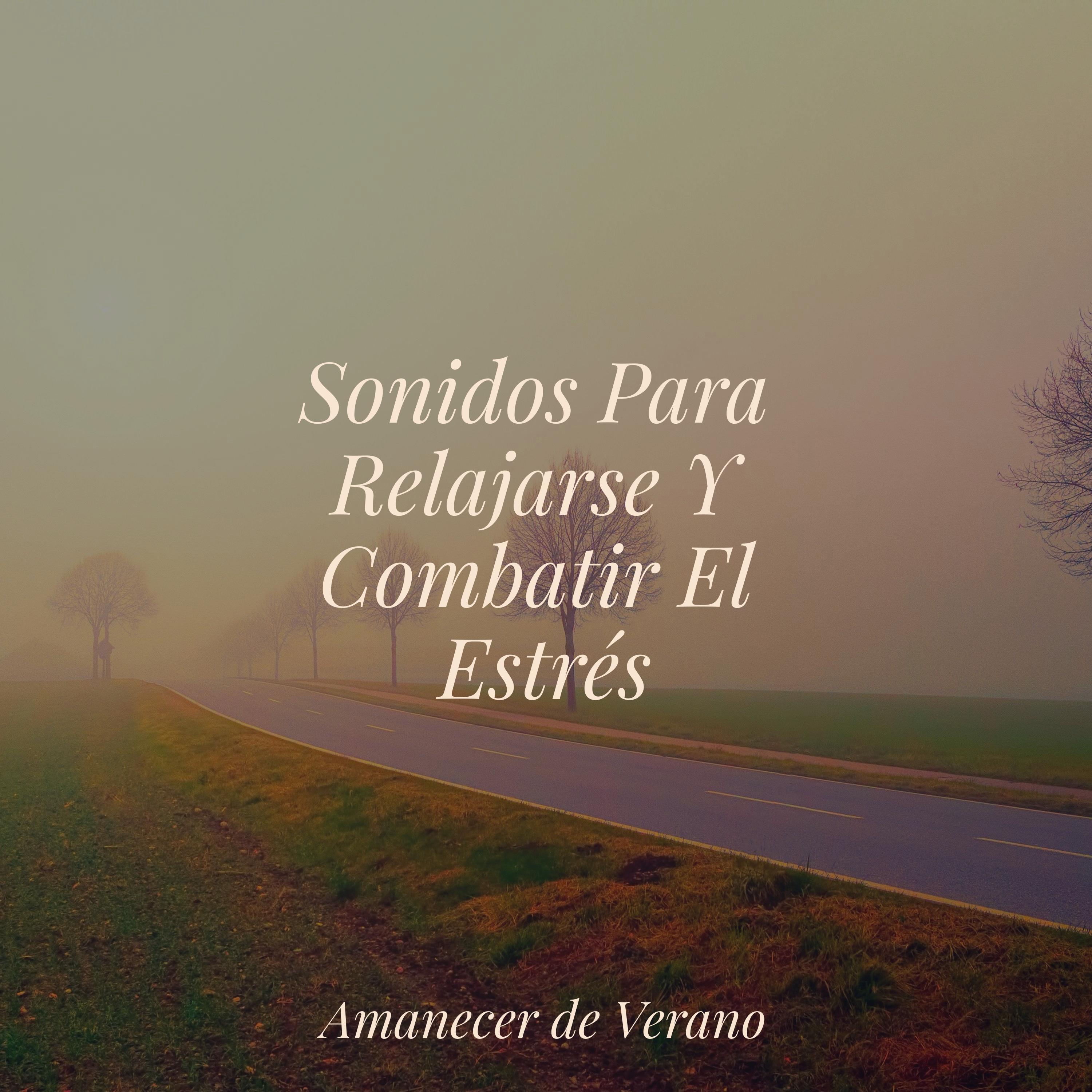 Preludio Etéreo del Crepúsculo