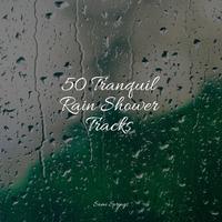 50 Tranquil Rain Shower Tracks