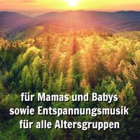 Ruhige Musik von Tannenwaldtraum