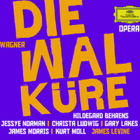 Die Walküre / Act 1