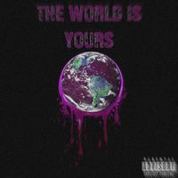 THE WORLD IS YOURS