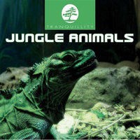 Jungle Animals